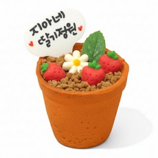 식목일 화분도 먹는 딸기&꽃 초콜릿 정원 컵케이크 만들기 1인 DIY 세트, 1개, 140g