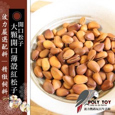 POLY TOY 開口松子 大顆開口薄殼紅松子, 250克