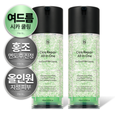 히이즈 시카 리페어 올인원 여드름&홍조 진정 쿨링 지성피부, 2개, 110ml