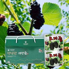 정직한 오디즙 오디생즙 100ml 30포 산지직송 진액, 120ml