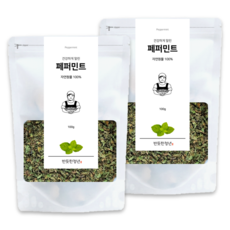1+1 반듯한청년 페퍼민트 티 100g 2봉 리필팩 원물 차, 1개, 2개입