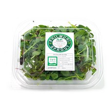 야채왕 베이비순 어린잎채소 50g 1팩, 1개