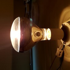 난방기구 적외선램프 보온등 열전구 185W 250W 한박스, 1개