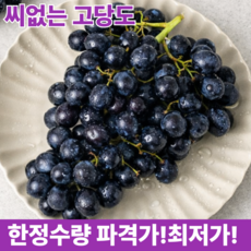 [고당도] 블랙세이블 포도 20Brix이상 씨없는 수입포도, 1박스, 4kg