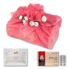 정관장 홍삼정 홍삼정캡슐 추석 설 명절 선물세트, 2개, 100정