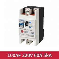 진흥 220V 60A 2P2E 100AF 산업용 배선차단기 배선용차단기 분전함, 1개