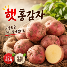 [은채담] 햇홍감자 카스테라 포슬포슬 감자, 1박스, 홍감자(대)1kg
