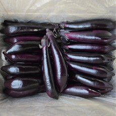 맛통령 국내산 가지, 1개, 1kg