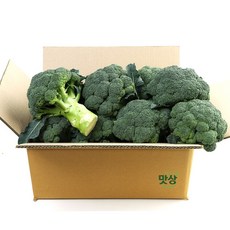 브로콜리 국내산 신선한 브로콜리 건강채소 더맛상, 1박스, 2kg