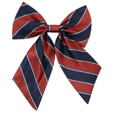 아동넥타이 유니폼 리본 넥타이 교복 단체행사 유치원 학예회