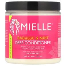 아이허브 딥 컨디셔너 모든 모발 타입용 바바수 & 민트 227g(8oz), 227g, 1개