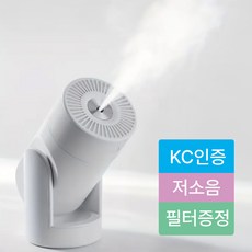 진판사 KC인증 초음파 저소음 C타입 스마트 스윙 무선 탁상용 차량용 간편세척 가습기, 화이트