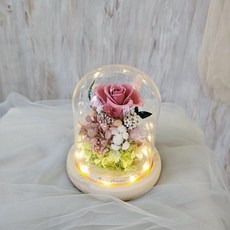 Mina flower 永生玫瑰玻璃罩 乾燥玫瑰色永生花 附LED燈座, 無須加購