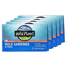 Wild Planet 와일드플래닛 정어리 통조림 캔 무염 125g 5개