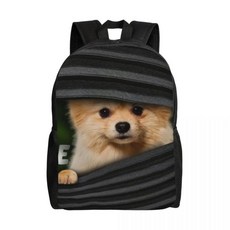 포메라니안 드워프 스피츠 배낭 캐주얼 대학 학교 애완 동물 강아지 가방, 1개, 9. 11