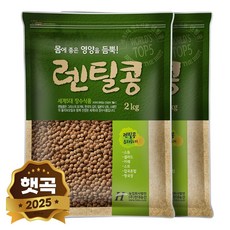 현대농산 갈색 렌틸콩 렌즈콩, 2개, 2kg