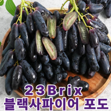 [호텔납품] 23Brix 특품 포도 특품 블랙사파이어포도, 1박스, 특품 블랙사파이어포도 500g