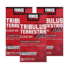 포스팩터 트리뷸러스 트리블러스 2000mg 120캡슐 3개 셀레늄 Tribulus, 120캡슐 3병, 120정