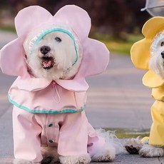 寵物雨衣 花朵斗篷 四腳全包防水外出服 遛狗小中型犬通用, 1個, 粉色花朵雨衣,碼胸30背20建議1.0-1.5公斤左右