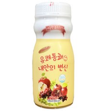 프리미엄 유쾌통쾌 내안의변신, 100ml, 1개