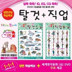 [DVD] 누가누가 잘하나 양면학습벽보 - 탈것 / 직업
