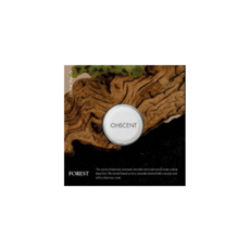 오센트 리필캡슐 택1, 3g, 1개, 포레스트 리필캡슐