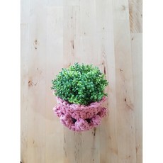 [코바늘 DIY] 미니 행잉 바스켓 / 인테리어 소품 바스켓 만들기 핸드메이드 키트, 230