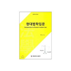 현대법학입문