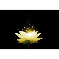 코나 주방아트보드 아트글라스 아트월 주방 셀프 벽면 인테리어 꾸미기 연꽃(골드), 1개