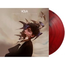 VOLA Artist Vinyl 비닐 LP 레코드 Friend of a Phantom 미국 발송, VOLA Artist Vinyl 비닐 LP 레코드 Fr