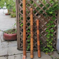 대나무 레인스틱 힐링 나무 민어 물소리 사운드힐링 선인장 명상 타악기