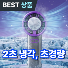 르웰느 2초 냉각손풍기 선풍기 핸디, 트루 그레이, Y32