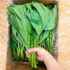 맛통령 국내산 아욱, 1박스, 1kg