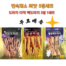 도라지씨앗 더덕씨앗 백도라지종자 3봉 1세트 무배, 3개