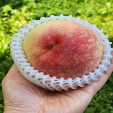 [요즘과일] 직접경매 당도보장 프리미엄 말랑이복숭아 황도복숭아 백도복숭아, 1박스, 백도복숭아 2kg