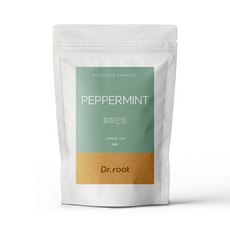 닥터루트 페퍼민트 삼각티백, 1.2g, 20개입, 1개
