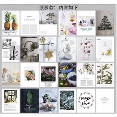 GXS拍照道具 攝影道具 含封面封底12張24面 街拍 拍照雜誌背景書, 1個, D04菠蘿款