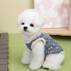 페페파파 강아지 김장 조끼 겨울옷 하네스 패딩, 블루, 1개