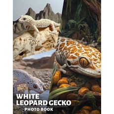 (영문도서) White Leopard Gecko Photo Book: Explore 40 Stunning Images Of Unique Reptiles F... Paperback, Independently Published, English, 9798302257352