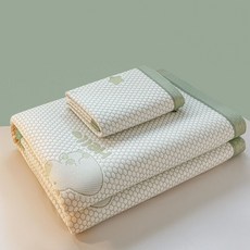 冰絲涼蓆三件套 學生宿舍空調軟席子, 卡皮巴拉-綠,枕套一對