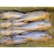 부세조기7미(36cm내외) 제수용 명절선물 업소용, 1박스, 3.4kg