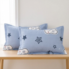 씽윤 사계절 캐릭터 프린트 먼지없는 베개커버 48x74 2P