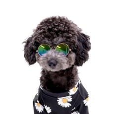 강아지선글라스 반려견 사진 촬영 웃긴 패션 썬글라스, 몽땅 뚜주르 썬구리 핑크, 1개