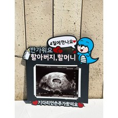 25년 푸른뱀띠 임밍아웃토퍼 임신이벤트 임밍아웃카드 아기토퍼 부모님 임신소식알리기, 초음파사진, 할부지, 1개