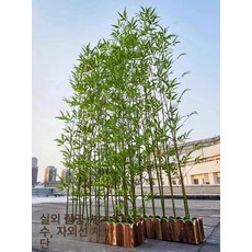 울타리 베란다조화 장식 조경 식물 야외 베란다 가림막, 1 . 2m 나무 + 2m 대나무 20개