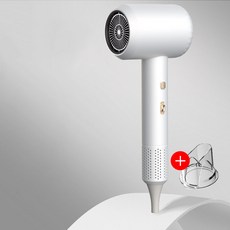 드라이기 초고속 BLDC 전기모터 지능온도제어 음이온 저소음 여행용 2400W, 흰색