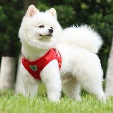 사계절 844 강아지 하네스 가슴줄 세트, 레드, 1개