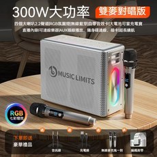 MUSIC LEGEND 300W 藍牙音響 雙麥克風 KTV 音響, 尊貴銀【V60-300W大功率-雙話筒】