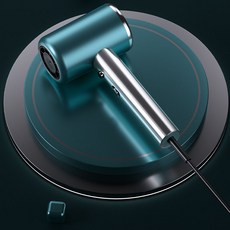 파워풍량 전문가용 이온 헤어 드라이어 고출력 헤어 드라이기, 블루