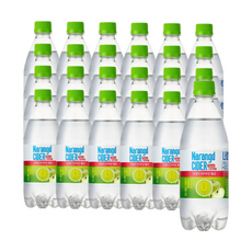 나랑드사이다 페트 그린애플 제로, 500ml, 24개